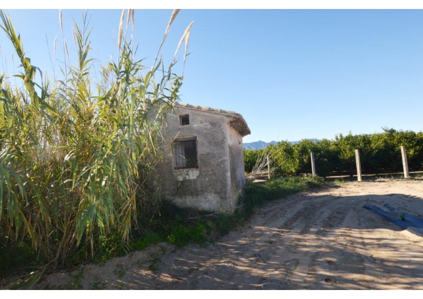 Nieruchomości w Hiszpanii - dzialka rolna przy jeziorze Cullera